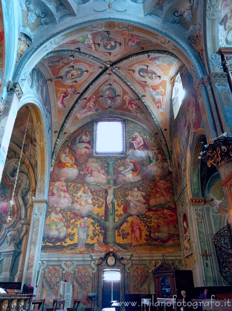 Monza (Monza e Brianza) - Albero della vita sulla parete destra del transetto del Duomo di Monza